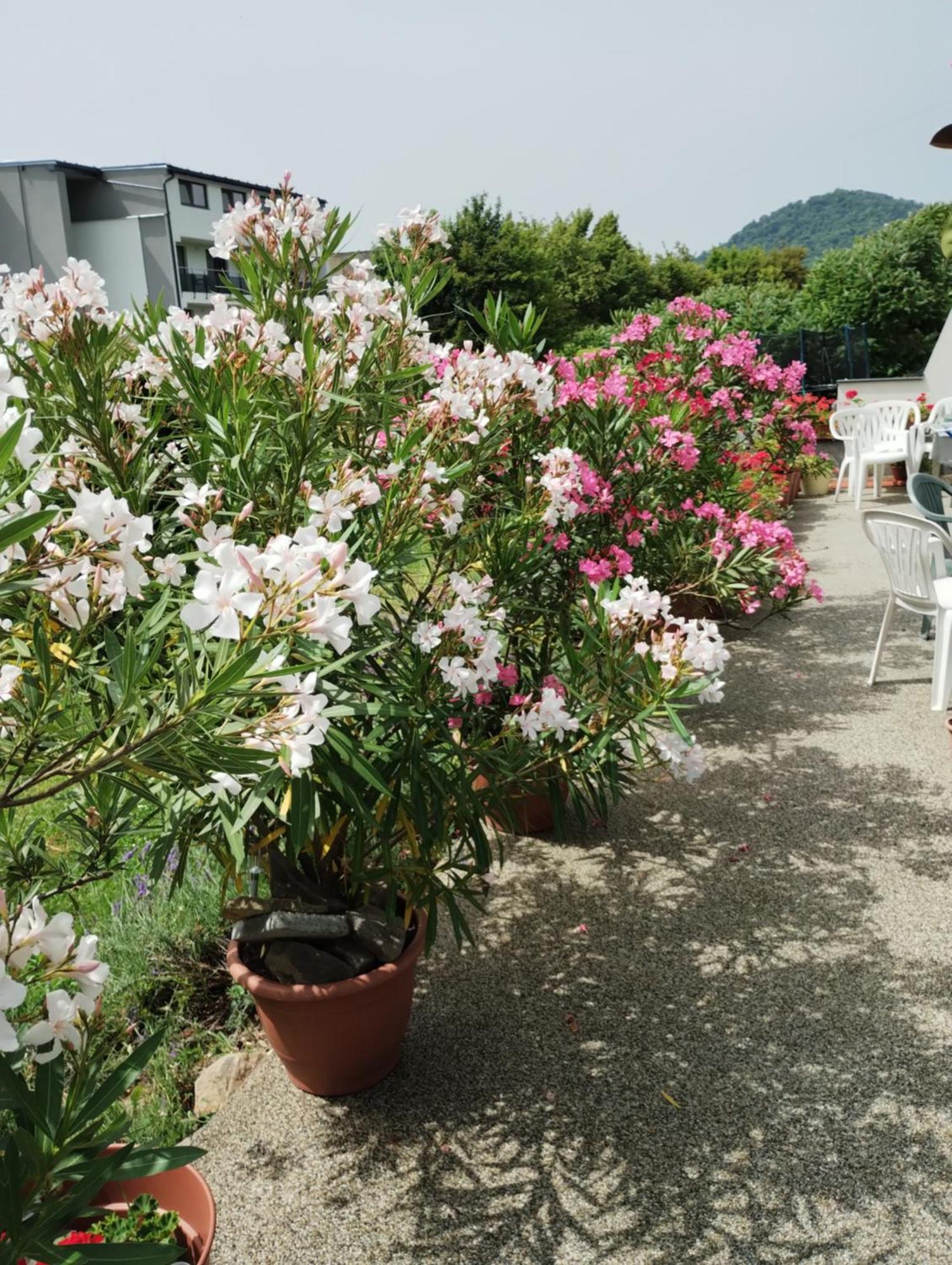 Apartmany Fantagiro Kaluža Exterior foto